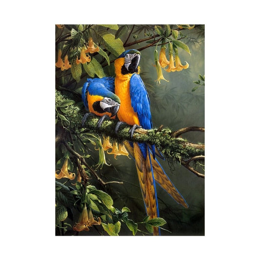 Canvanation 40x60cm Affiche De Perroquet