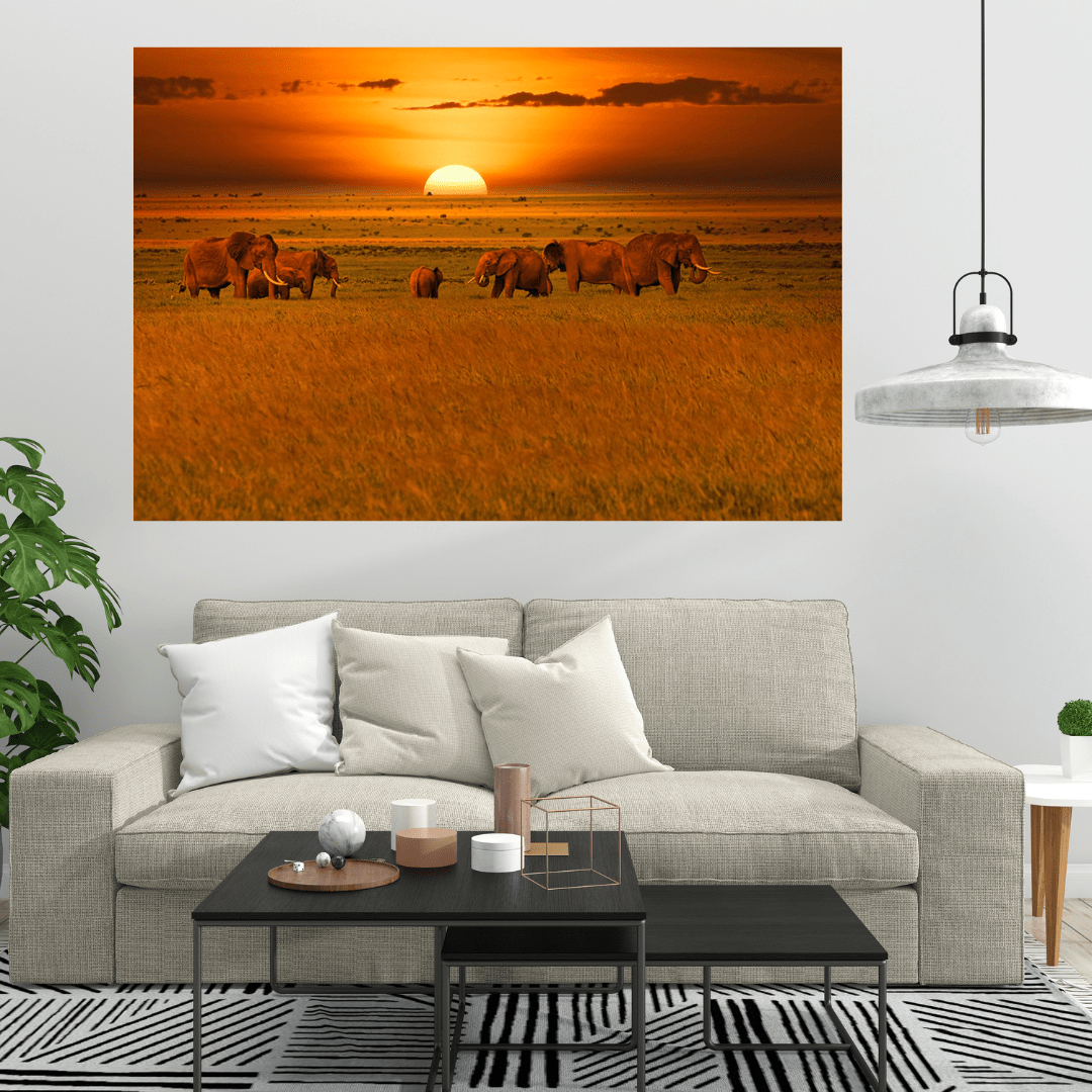 Canvanation Affiche Elephant