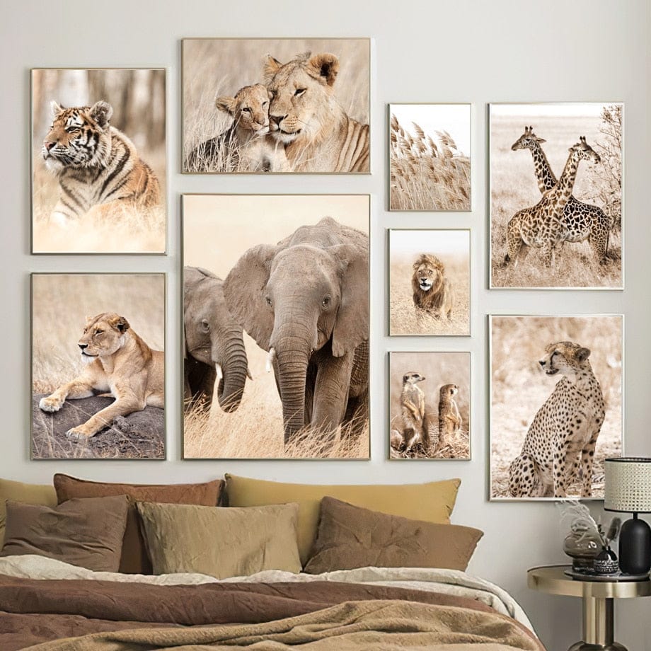 Canvanation Affiche Elephant Couleur