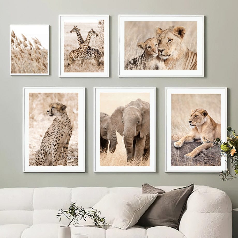 Canvanation Affiche Elephant Couleur