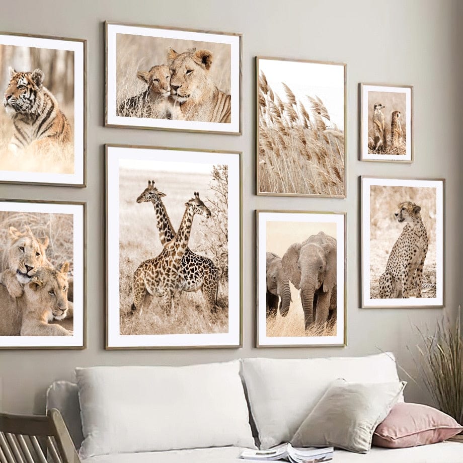 Canvanation Affiche Elephant Couleur