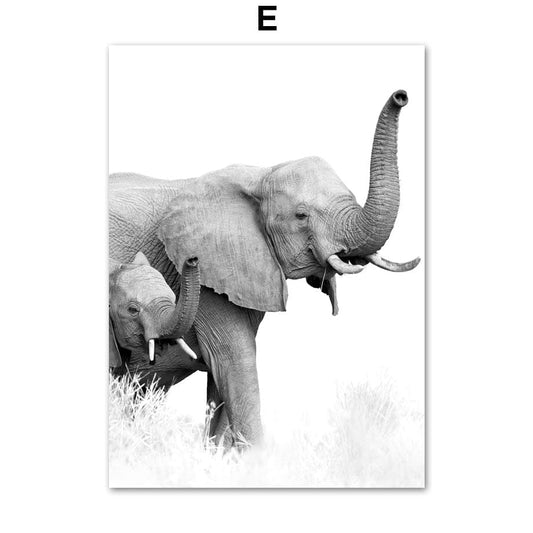 Canvanation 50X70 cm Affiche Elephant Noir Et Blanc