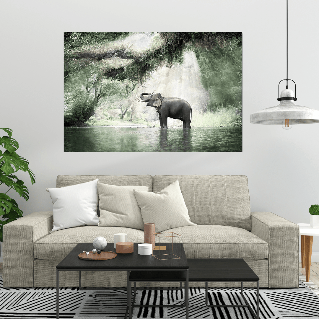 Canvanation Toile Elephant Dans Une Rivière