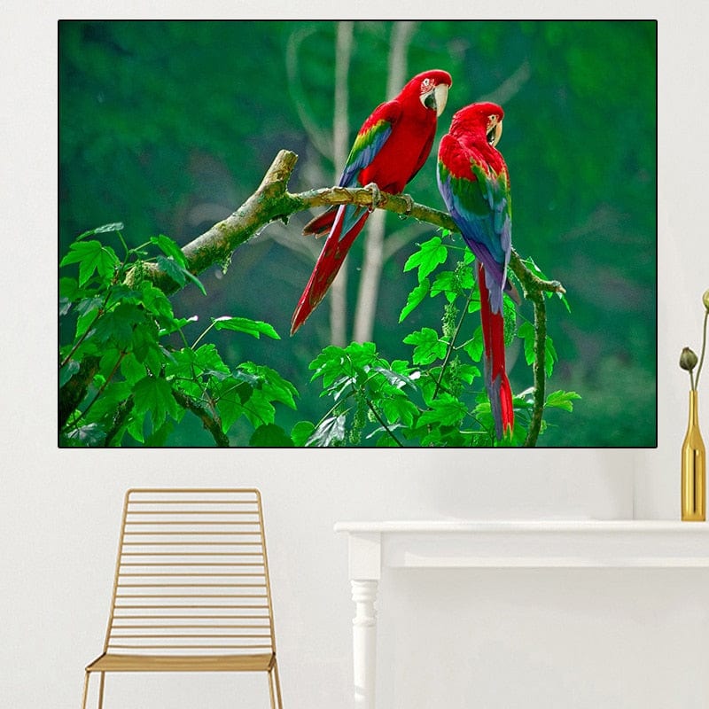 Canvanation 60X80CM / Parrot 635 Toile Perroquet