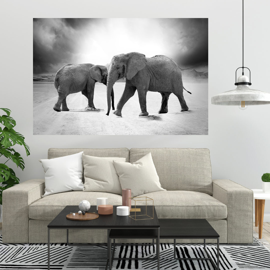 Tableaux Elephants Canvanation