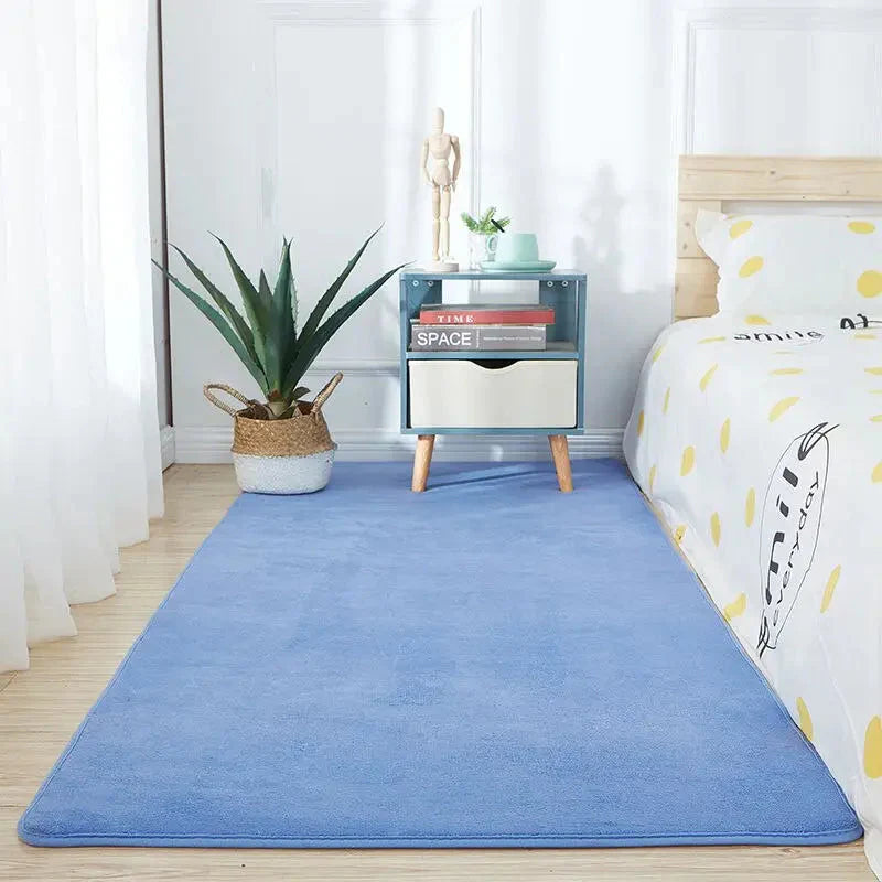 Tapis De Chambre