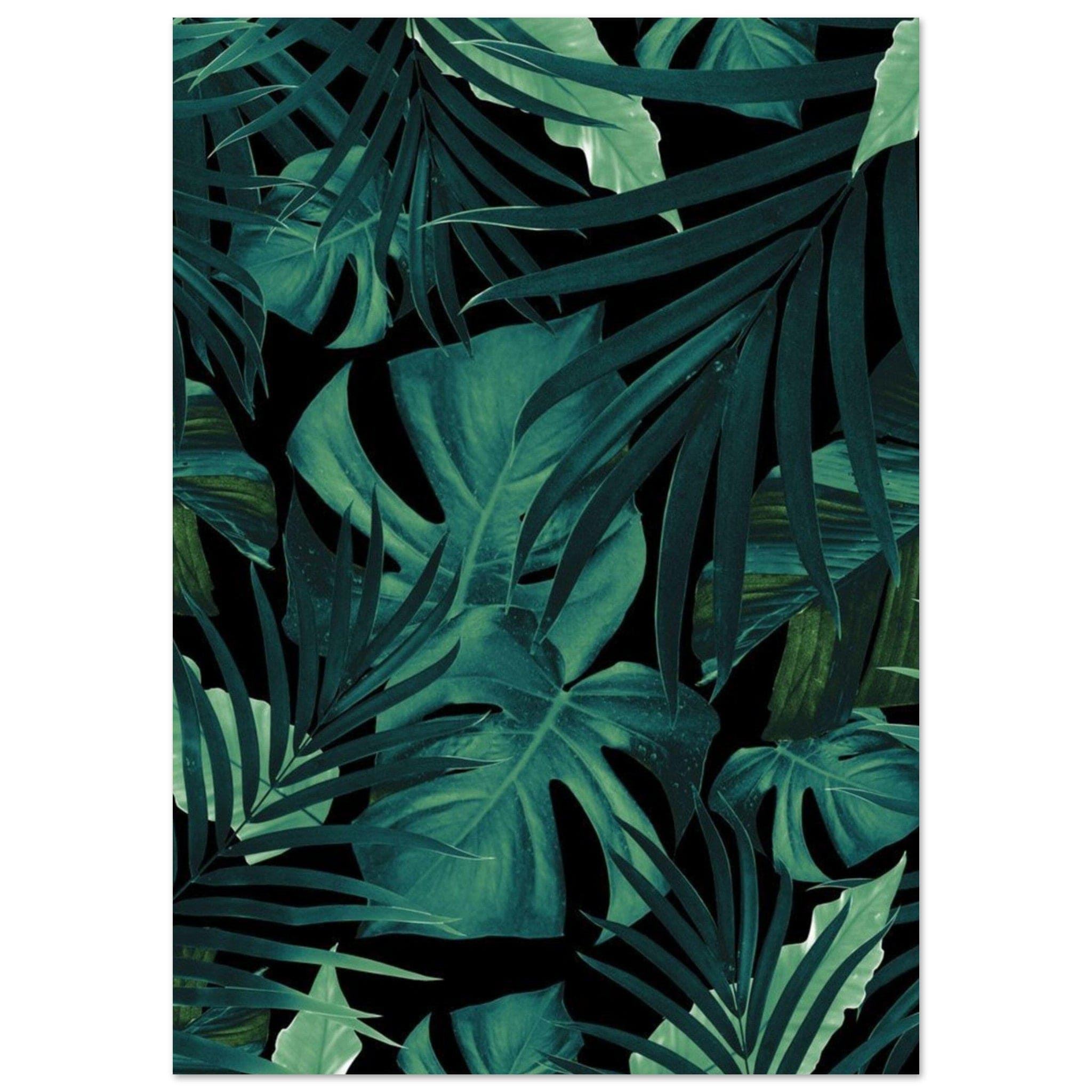 Gelato Print Material A1 (59.4 x 84.1  cm) Affiche Murale Jungle