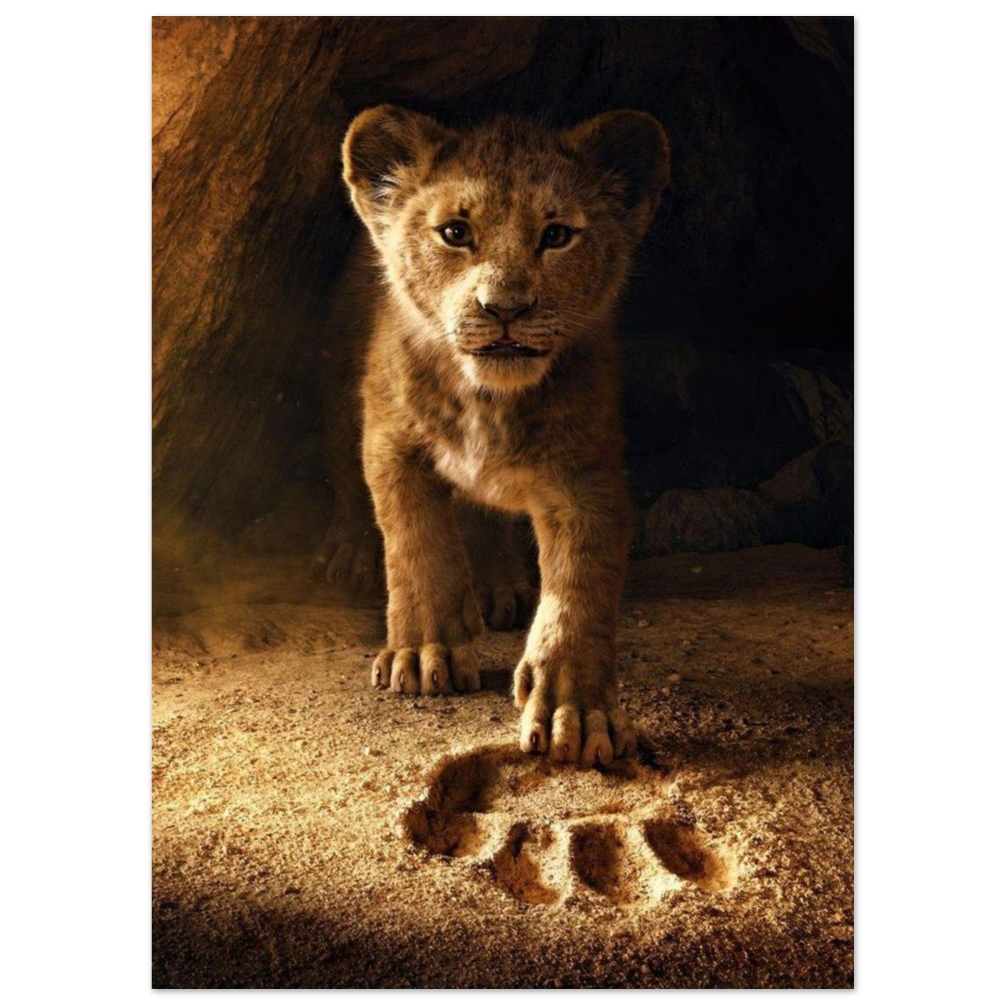 Canvanation Print Material 13x18 cm / 5x7″ Poster Lionceau