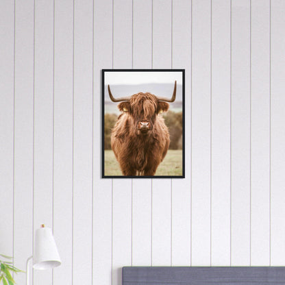 Tableau Vache Highland Noir Et Blanc - Canvanation