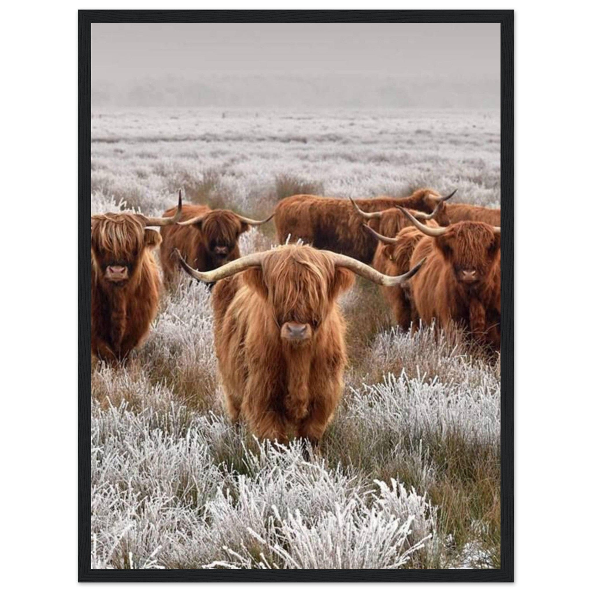 Canvanation Print Material 45x60 cm / 18x24″ Tableau Vache Couleur