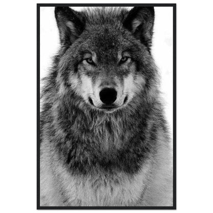 Tableau Loup Noir Et Blanc - Canvanation