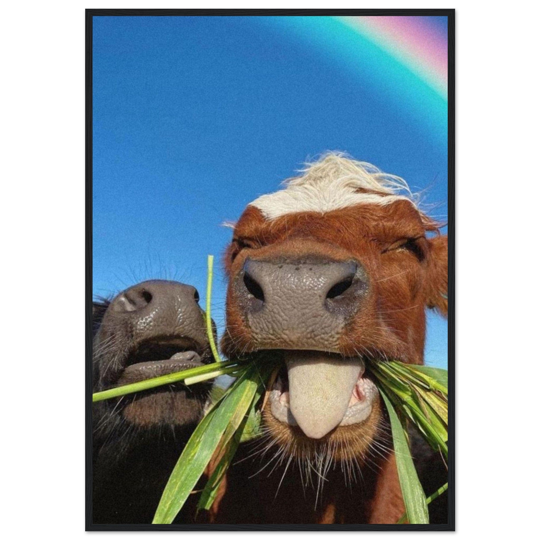 Canvanation Print Material 70x100 cm / 28x40″ Tableau Avec Des Vaches