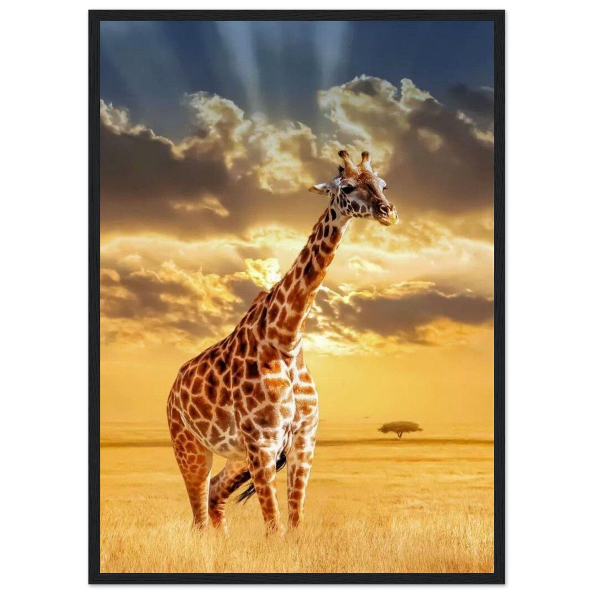 Gelato Print Material 50x70 cm / 20x28″ Tableau Girafe