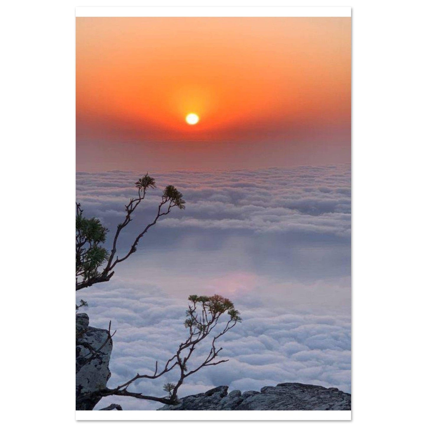 Tableau Africain Couché De Soleil - Canvanation