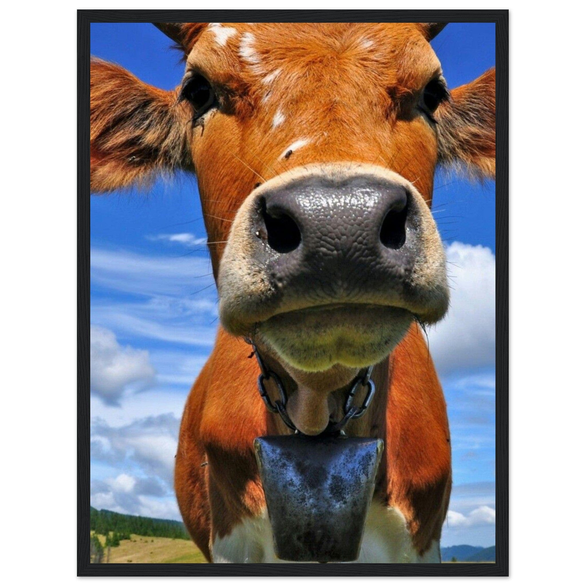 Canvanation Print Material 45x60 cm / 18x24″ Tableau Vache Limousine