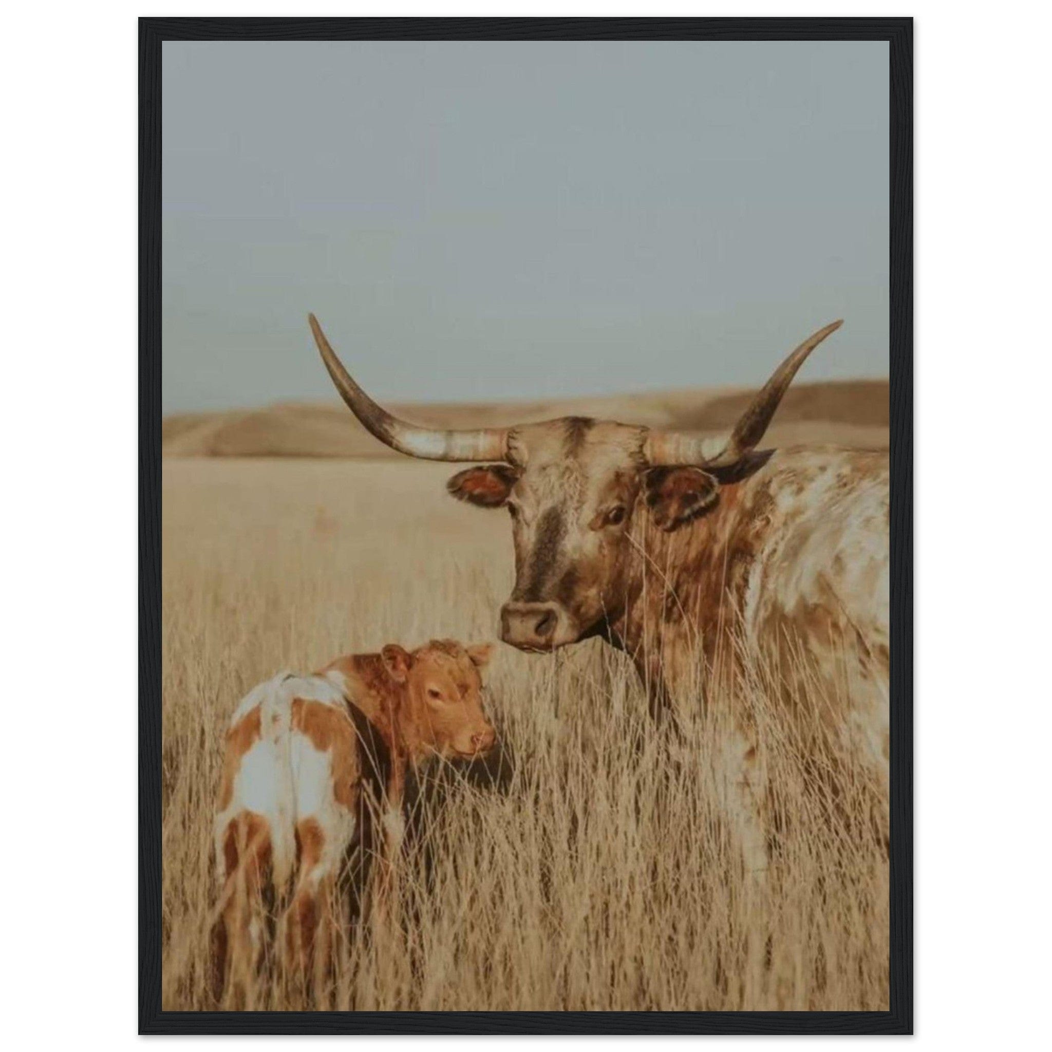 Canvanation Print Material 45x60 cm / 18x24″ Tableau Vache Gasconne