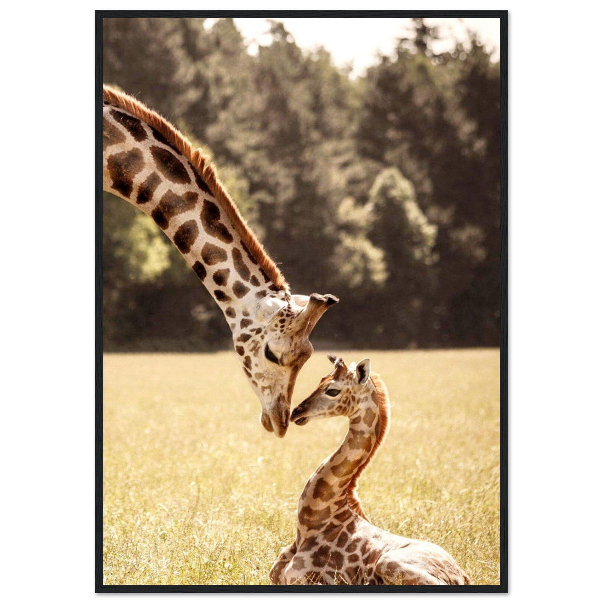 Gelato Print Material 70x100 cm / 28x40″ Tableau Avec Girafe