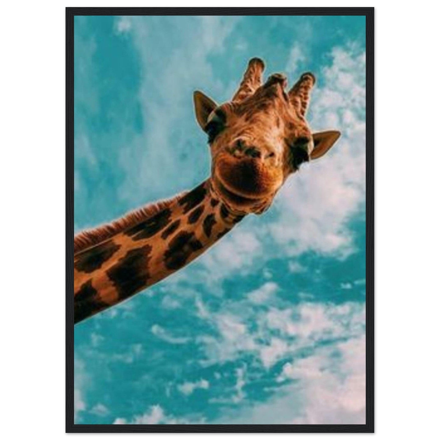 Toile Girafe Coloré - Canvanation