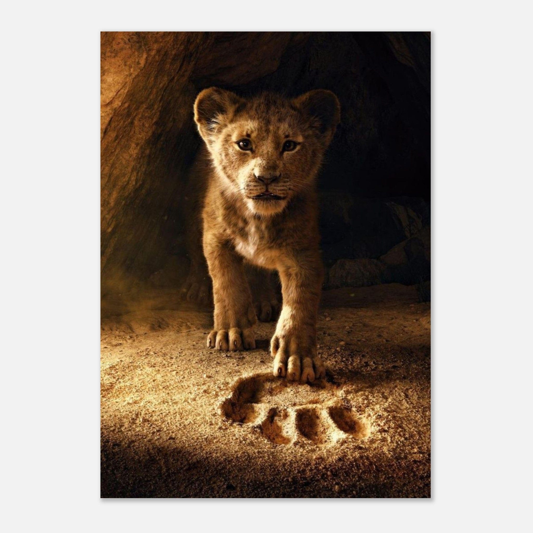 Canvanation Print Material Poster Lionceau