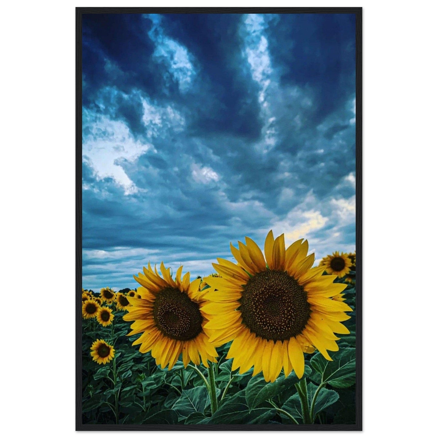 Peinture Van Gogh Tournesol - Canvanation