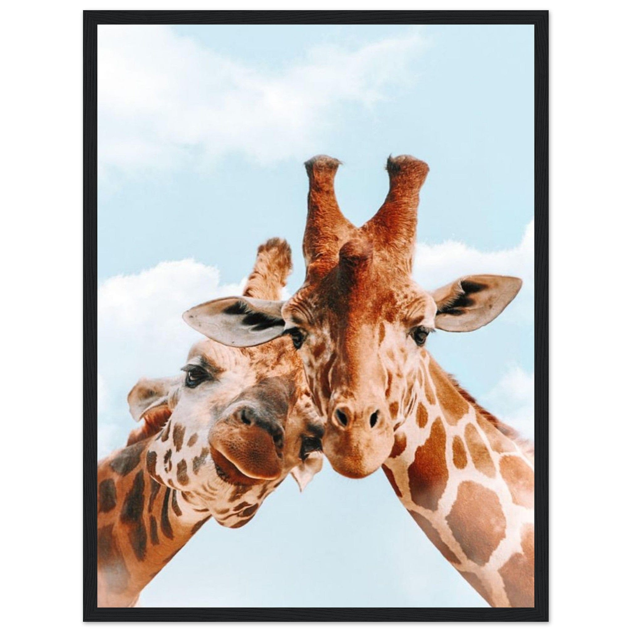 Gelato Print Material 45x60 cm / 18x24″ Girafe Tableau