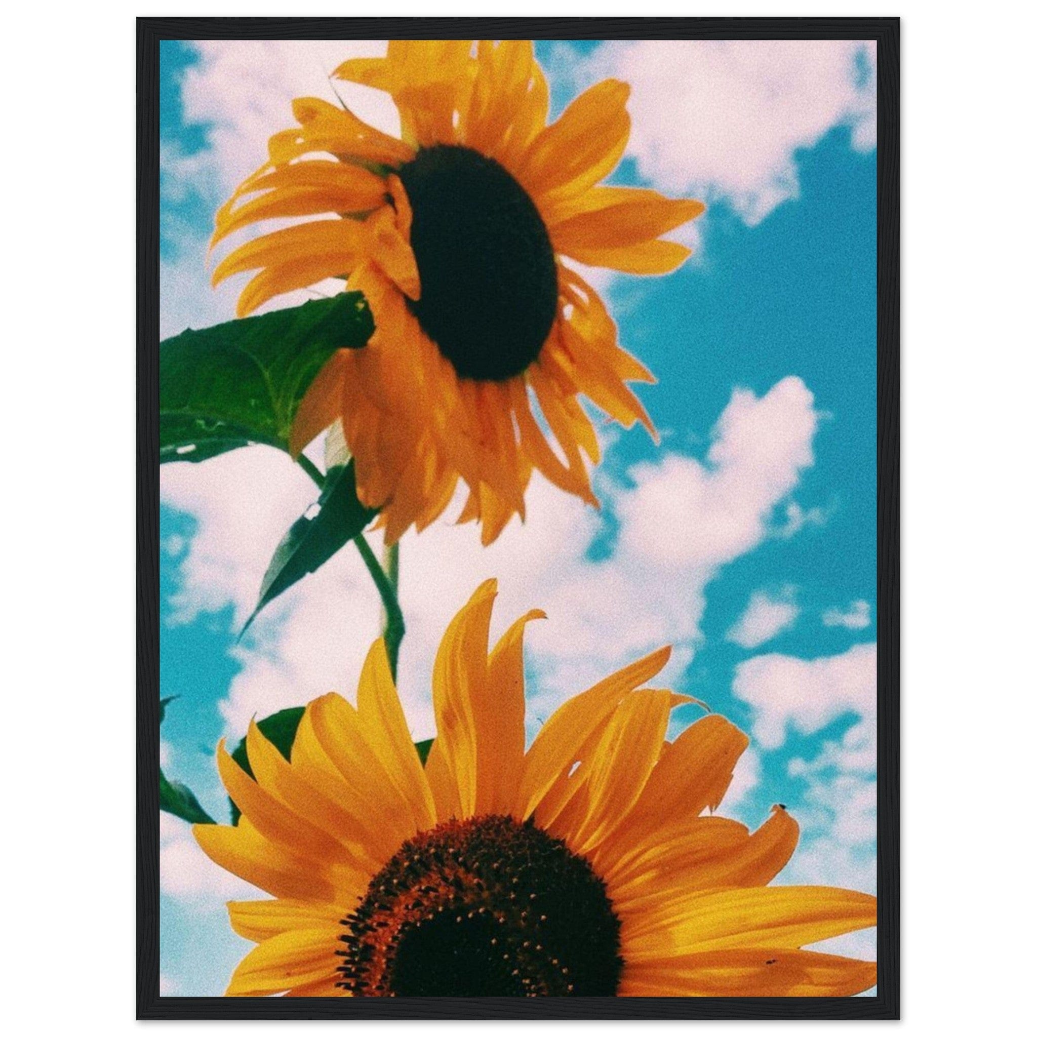 Gelato Print Material 45x60 cm / 18x24″ Tableau Tournesol