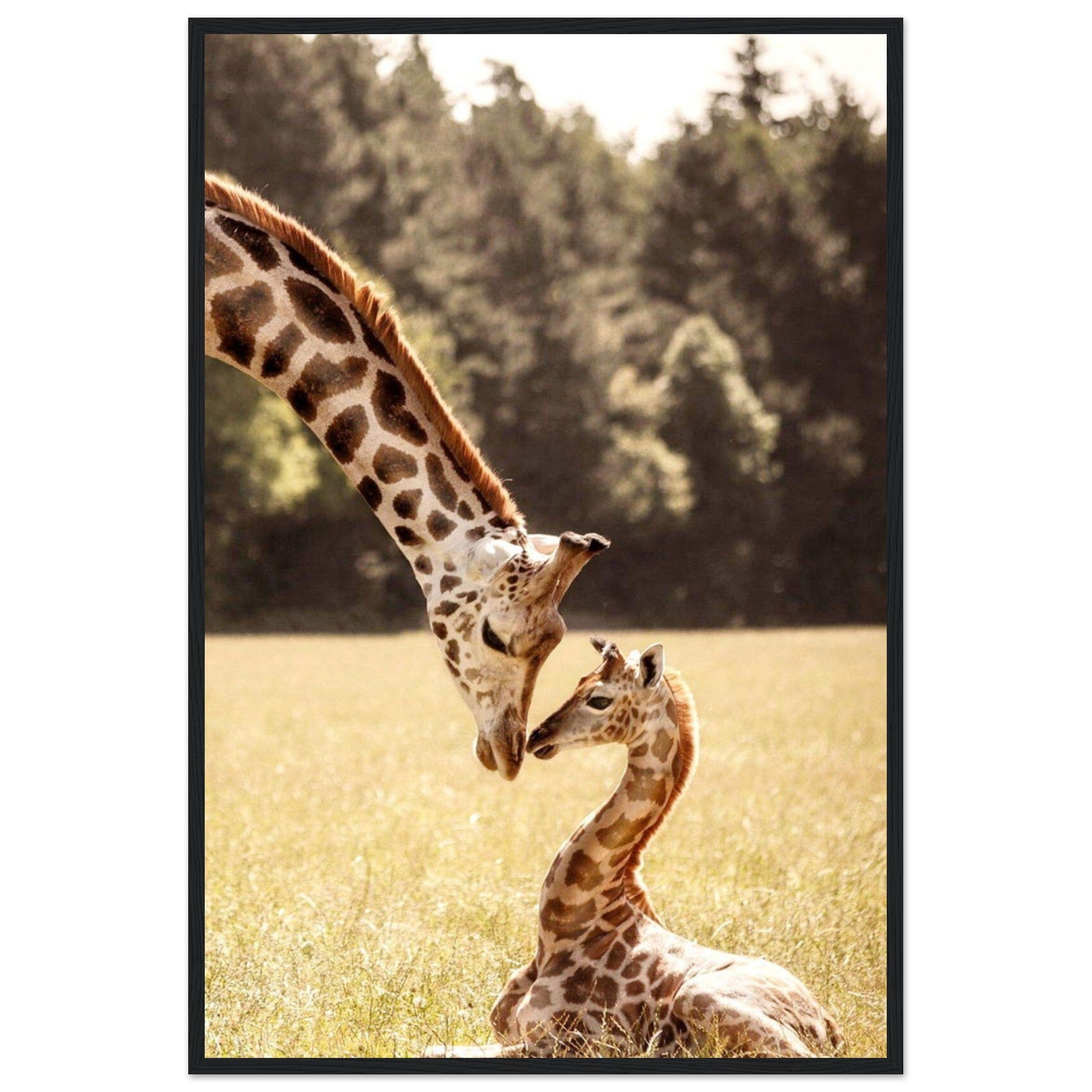 Gelato Print Material 60x90 cm / 24x36″ Tableau Avec Girafe