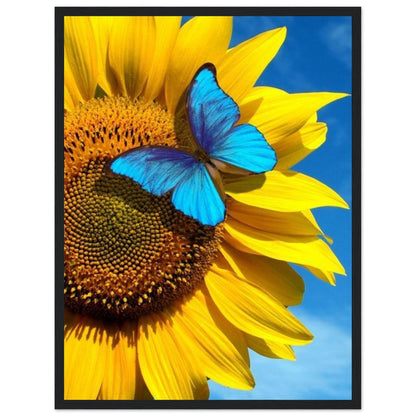 Tableau Tournesol Monet - Canvanation