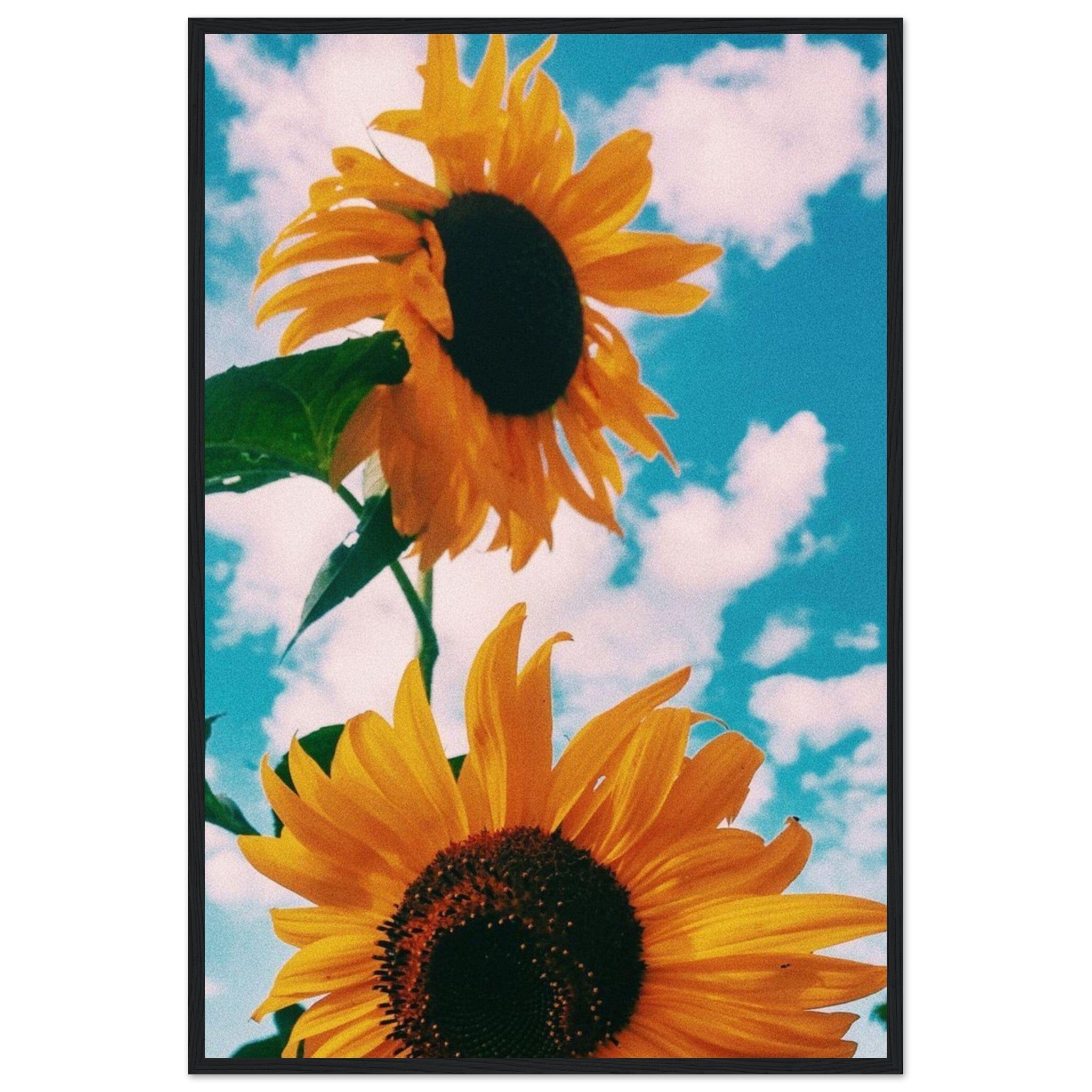 Gelato Print Material 60x90 cm / 24x36″ Tableau Tournesol