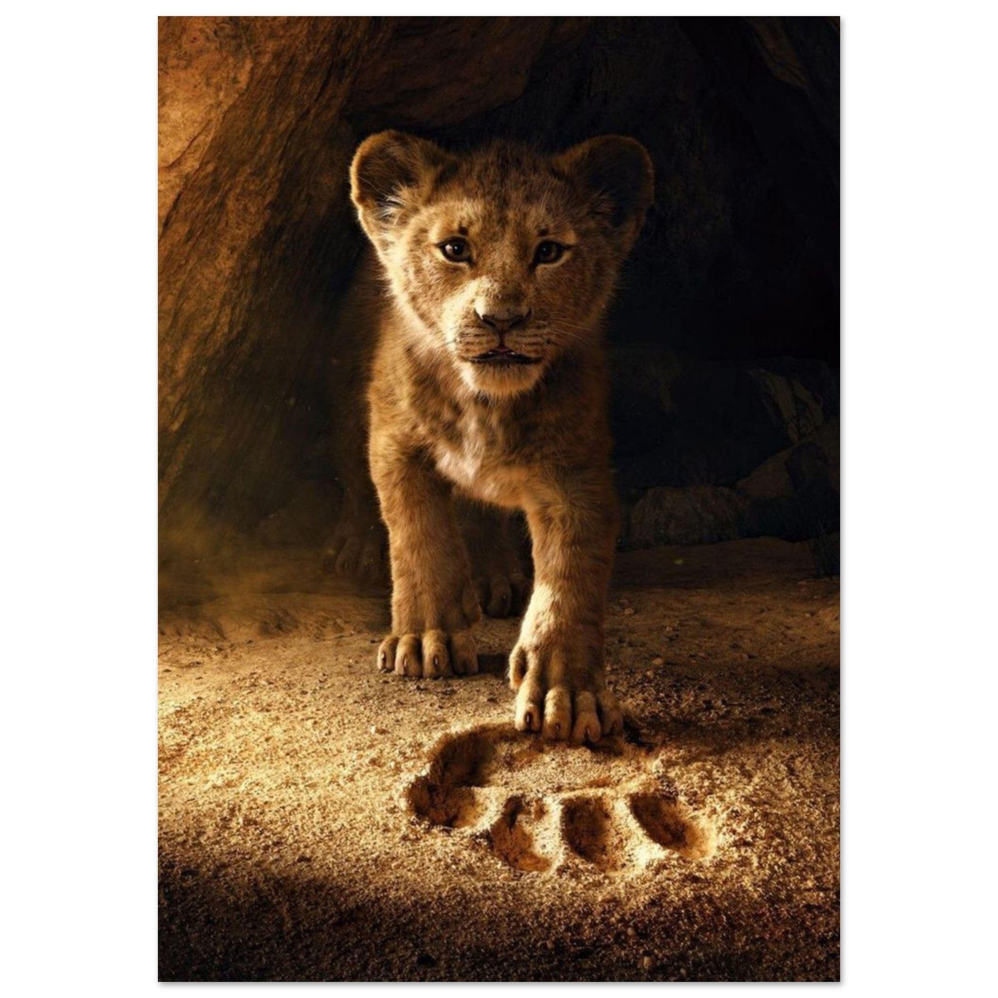 Canvanation Print Material A1 (59.4 x 84.1  cm) Poster Lionceau