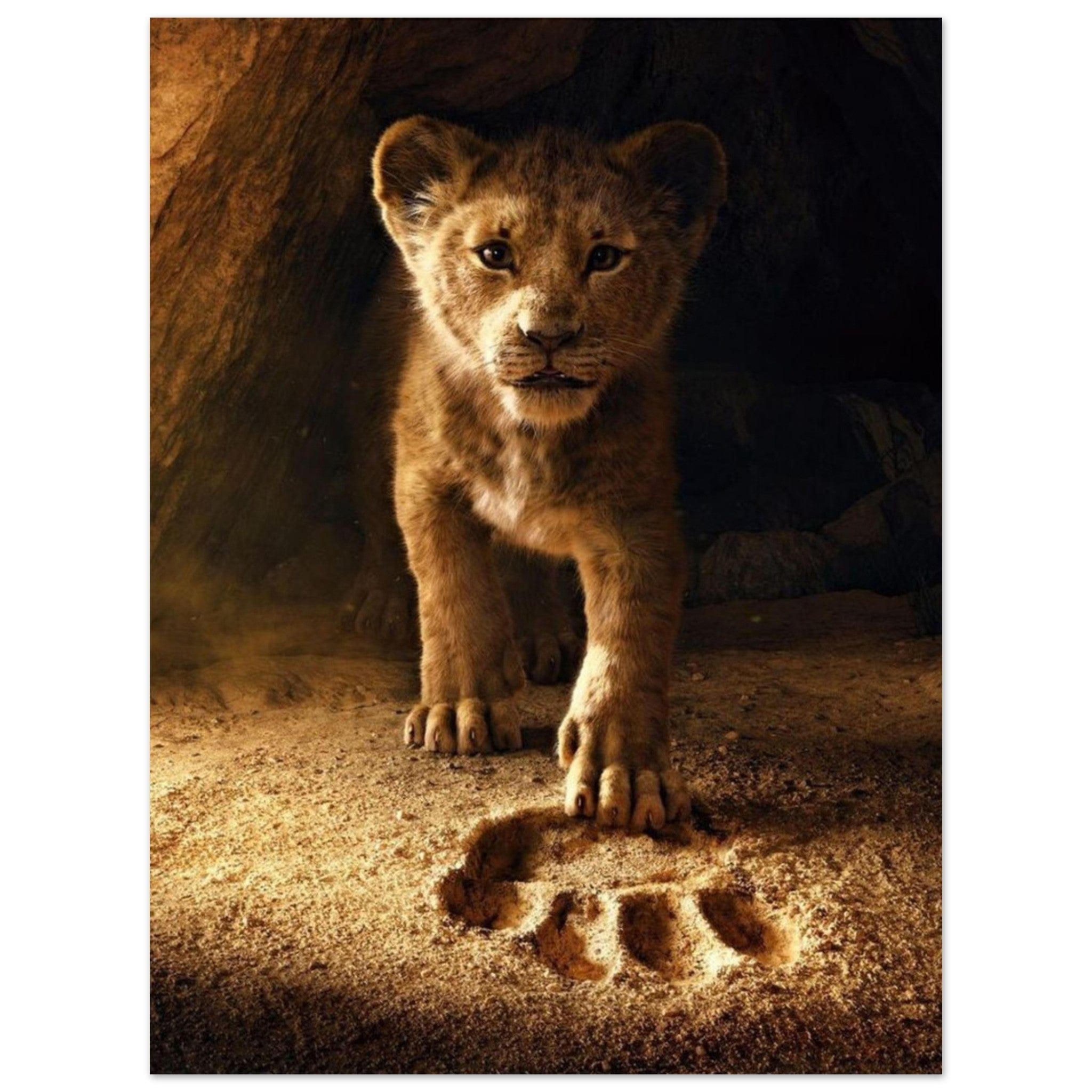 Canvanation Print Material 45x60 cm / 18x24″ Poster Lionceau