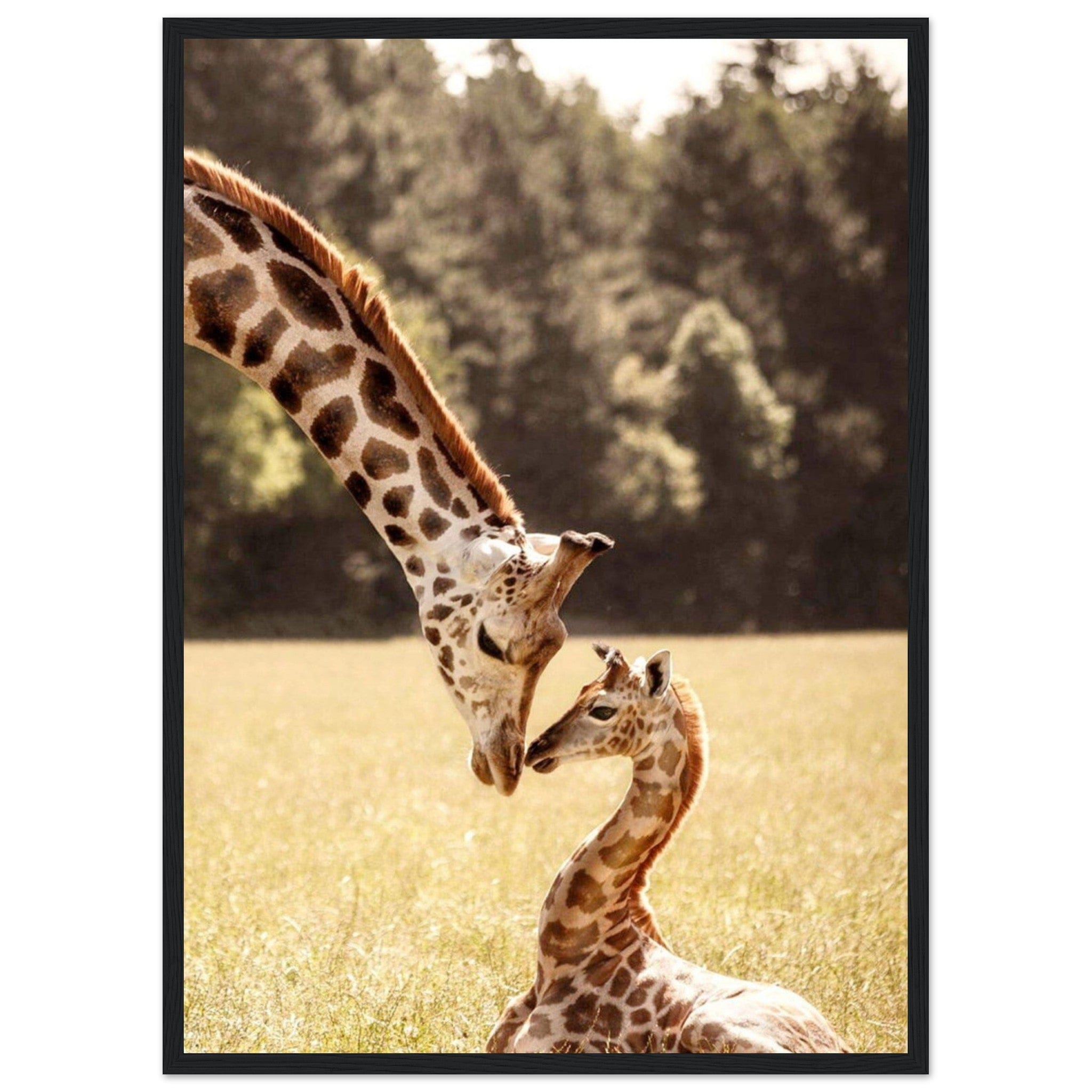 Gelato Print Material 50x70 cm / 20x28″ Tableau Avec Girafe