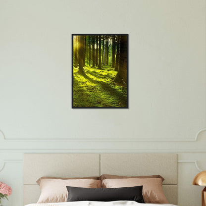 Tableau Paysage Forêt