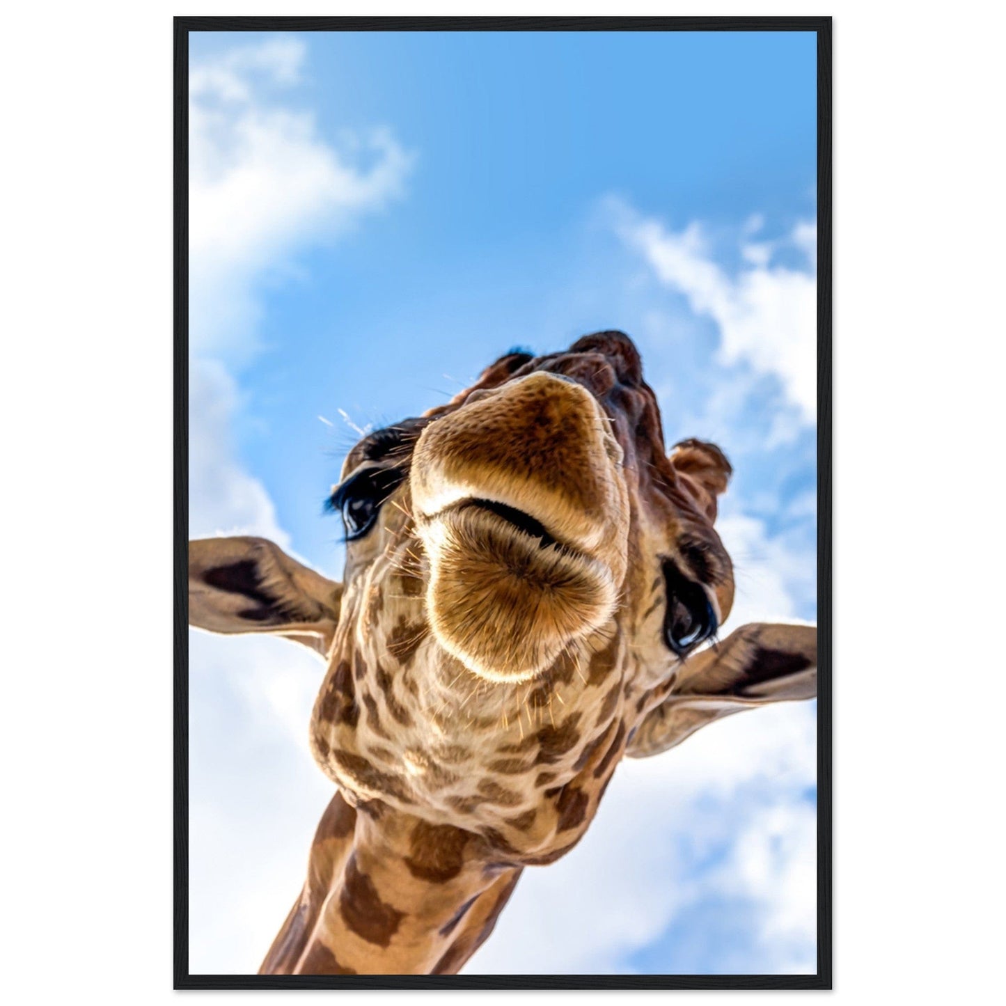 Tableau Girafe Couleur - Canvanation