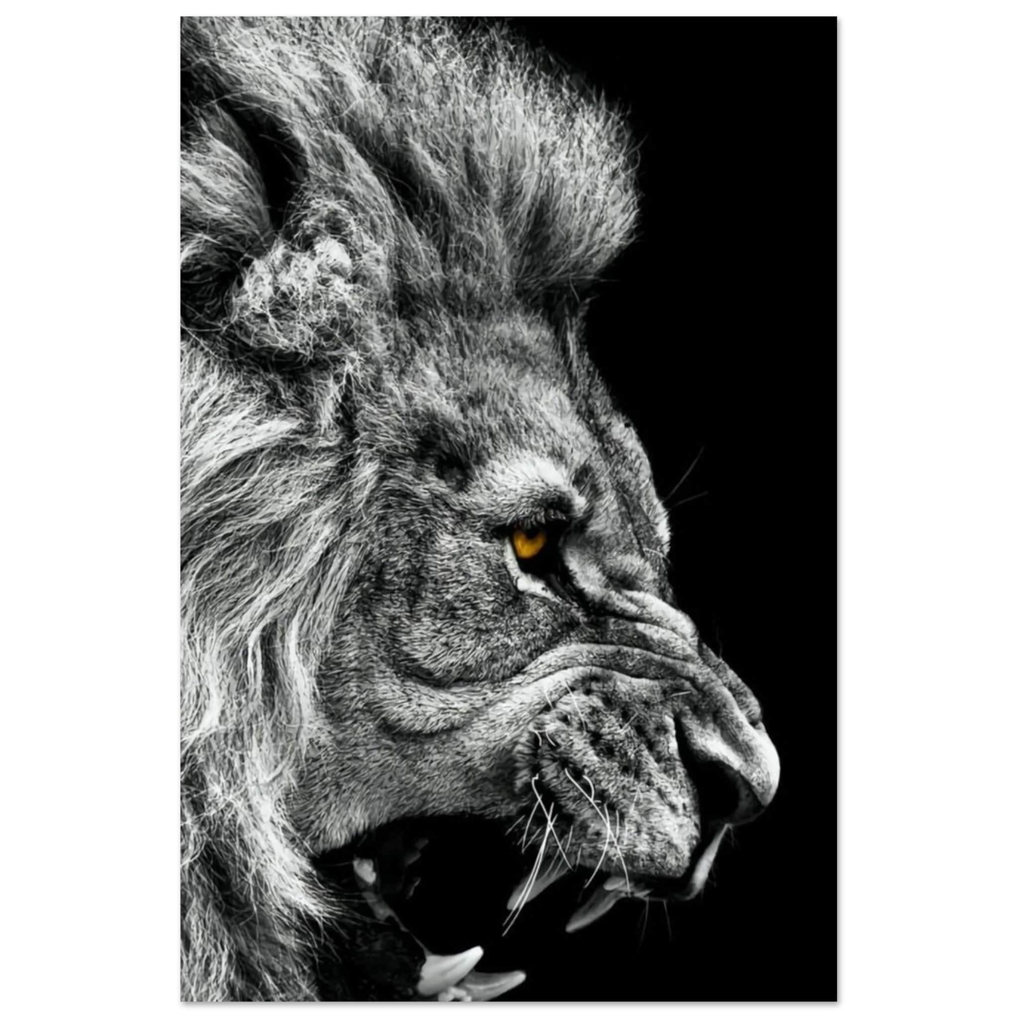 Canvanation Print Material 60x90 cm / 24x36″ Poster Lion Noir Et Blanc Rugissement