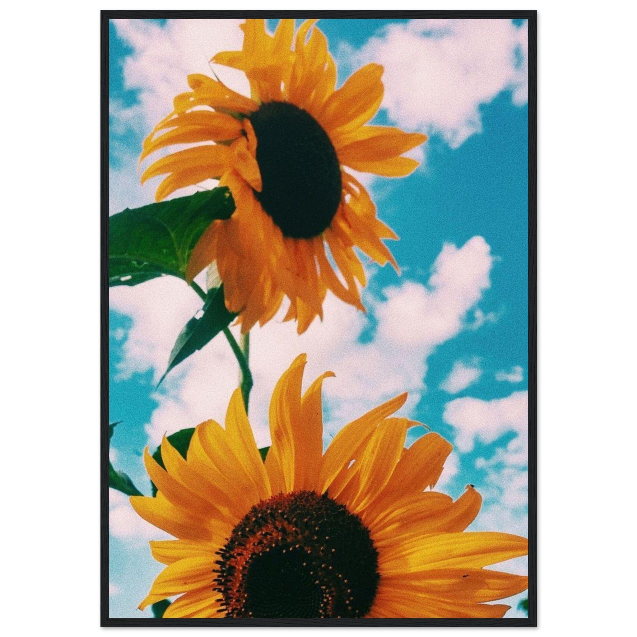 Gelato Print Material 70x100 cm / 28x40″ Tableau Tournesol