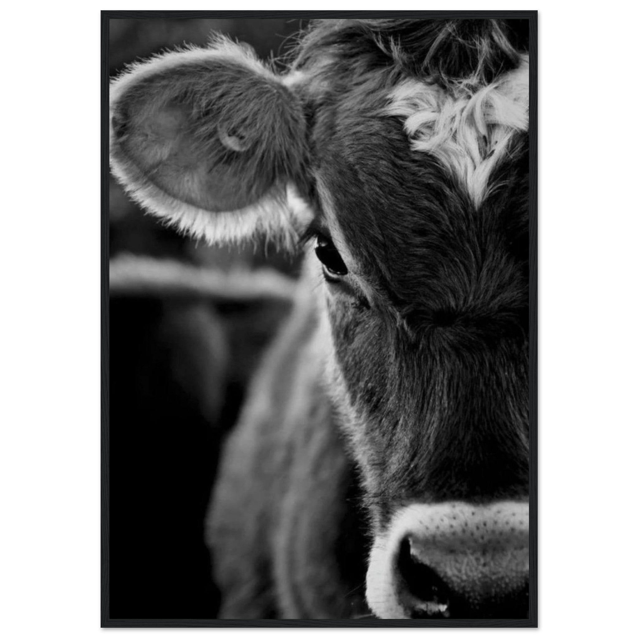 Canvanation Print Material 70x100 cm / 28x40″ Tableau Vache Aubrac