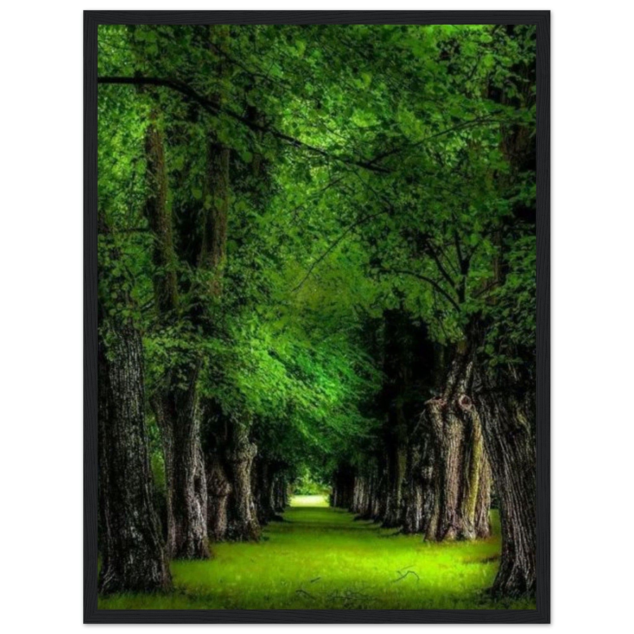 Canvanation Print Material 45x60 cm / 18x24″ Tableau Forêt Tropicale