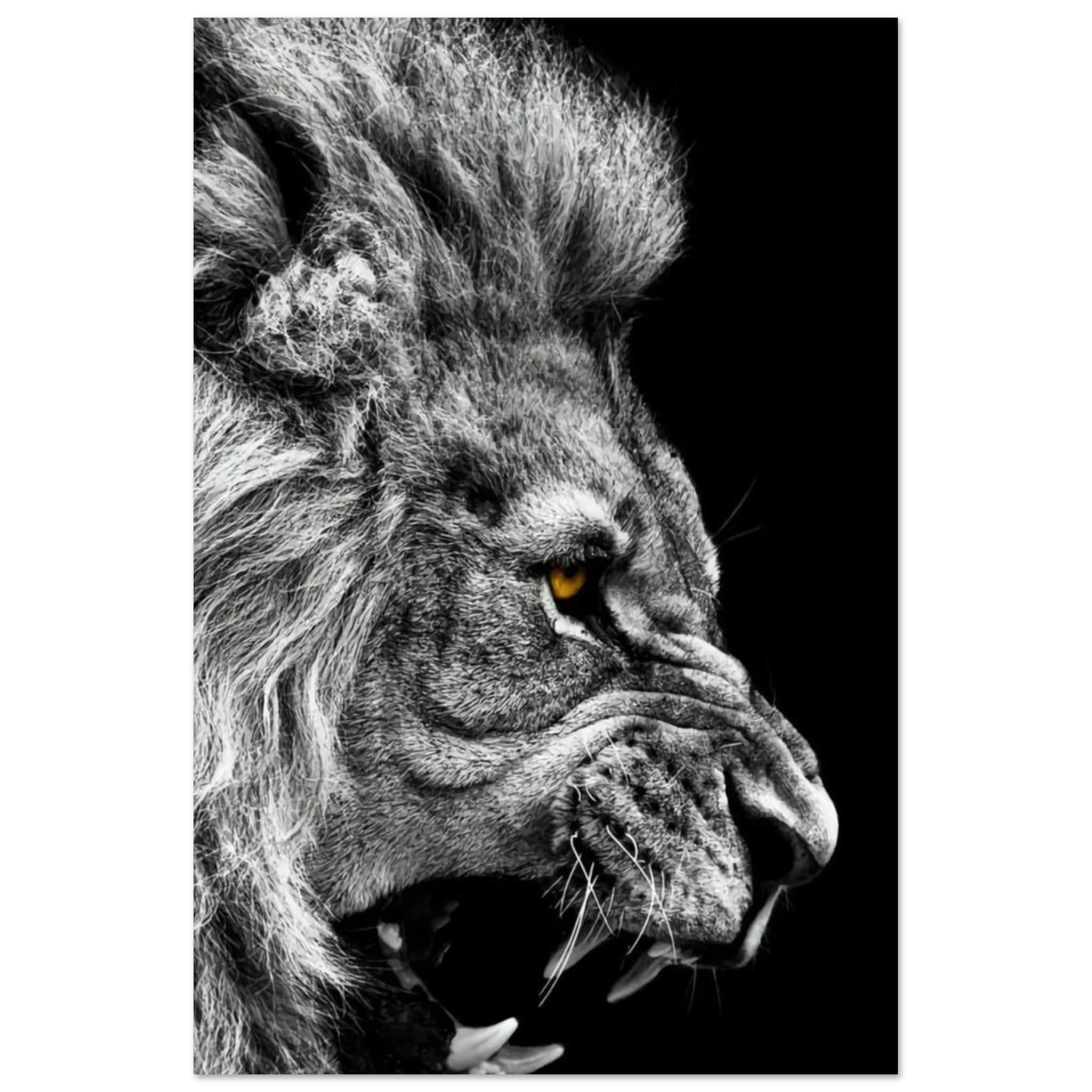 Canvanation Print Material 40x60 cm / 16x24″ Poster Lion Noir Et Blanc Rugissement