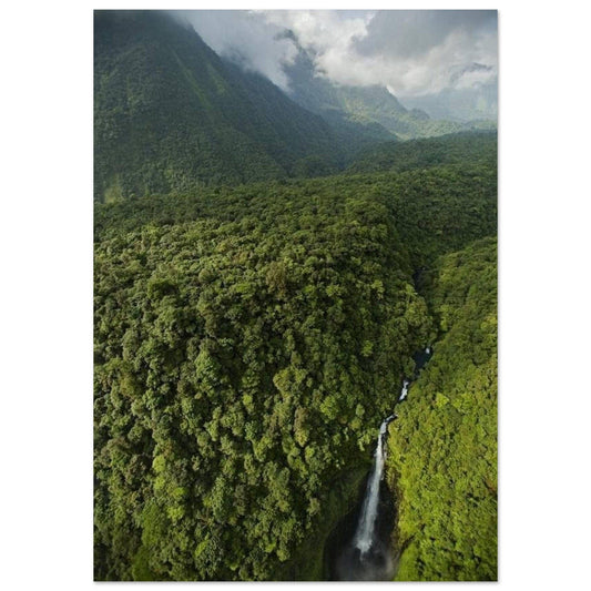 Tableau Africain Forêt Guinée Equatoriale - Canvanation