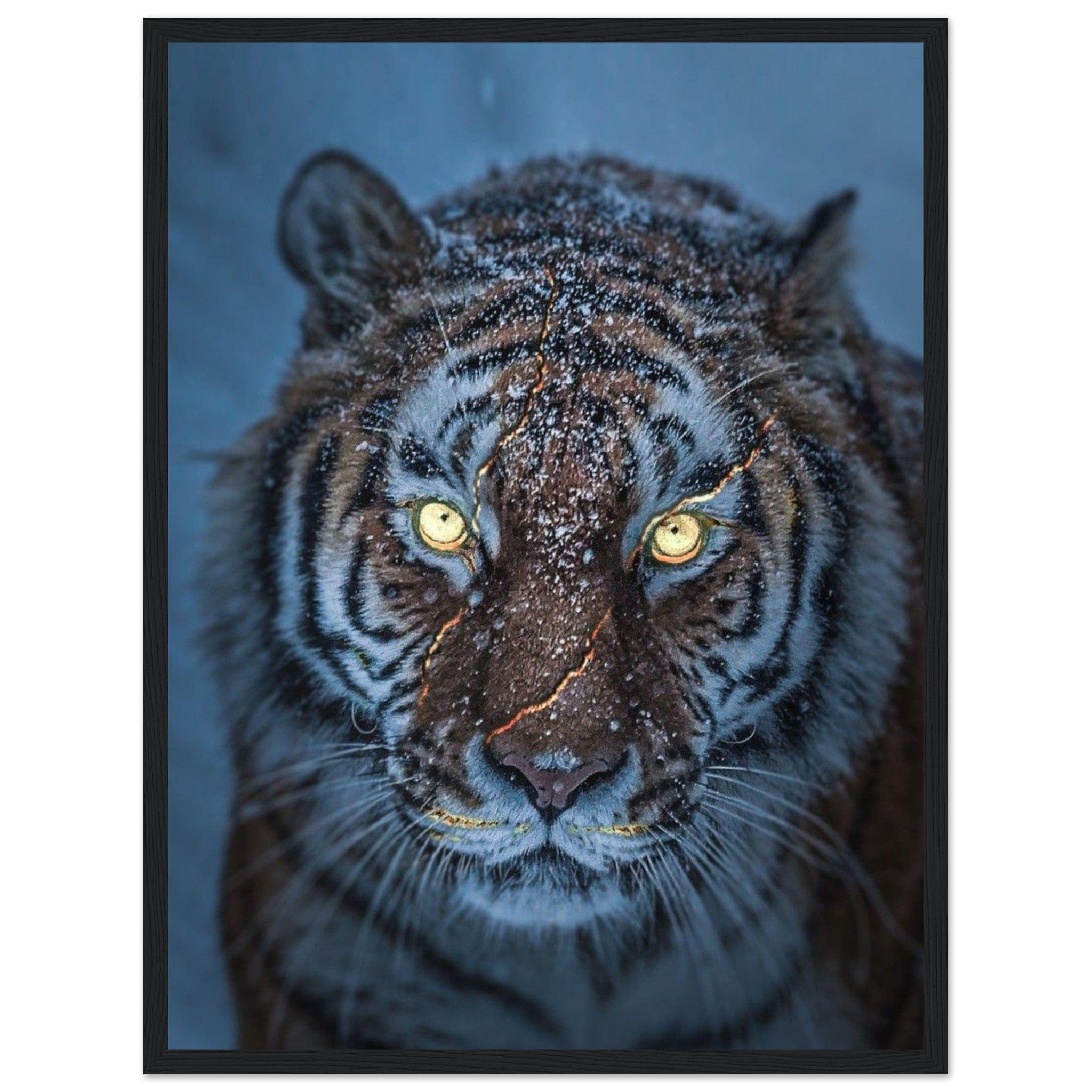 Tableau Tigre Neige - Canvanation