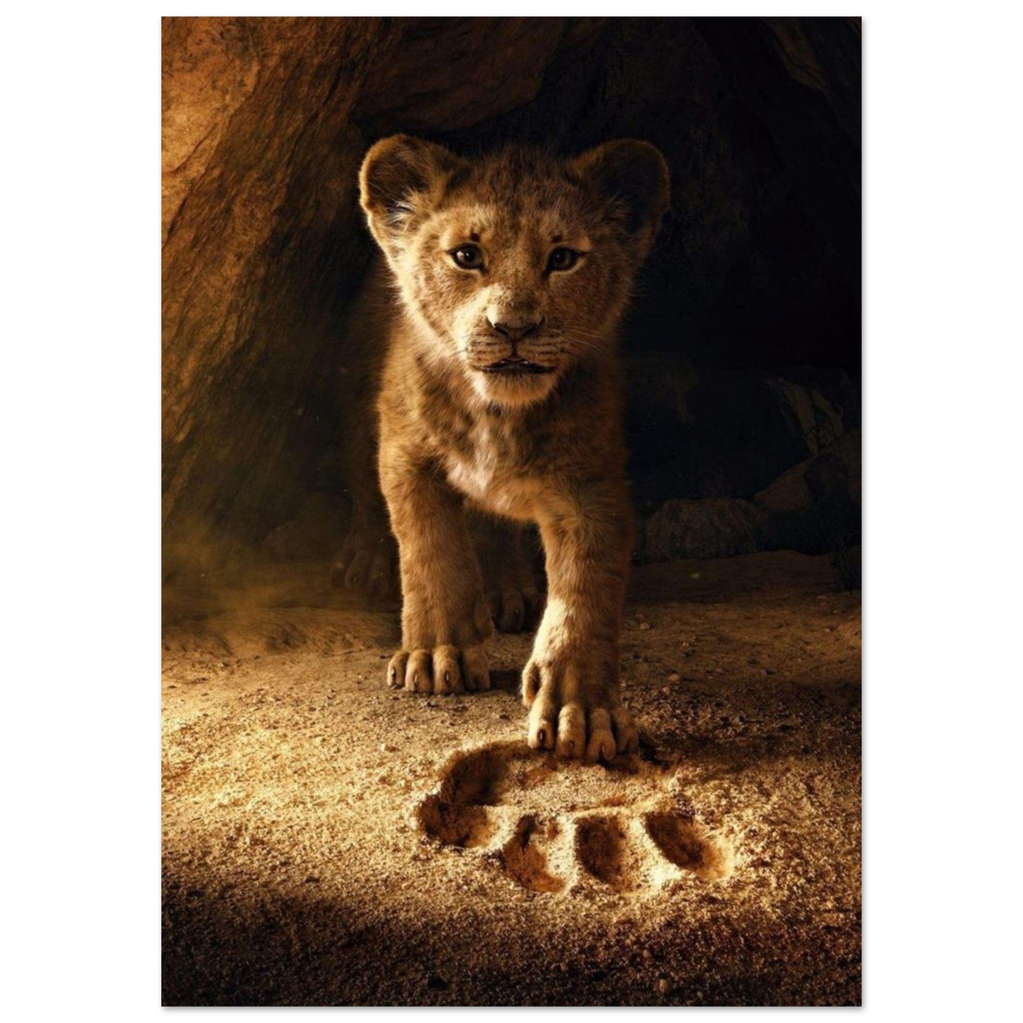 Canvanation Print Material A0 (84.1 x 118.9  cm) Poster Lionceau