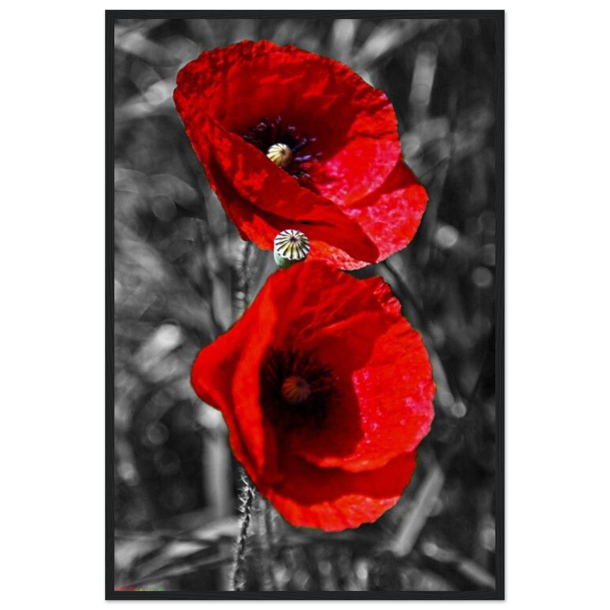 Canvanation Print Material Les Coquelicots Tableau