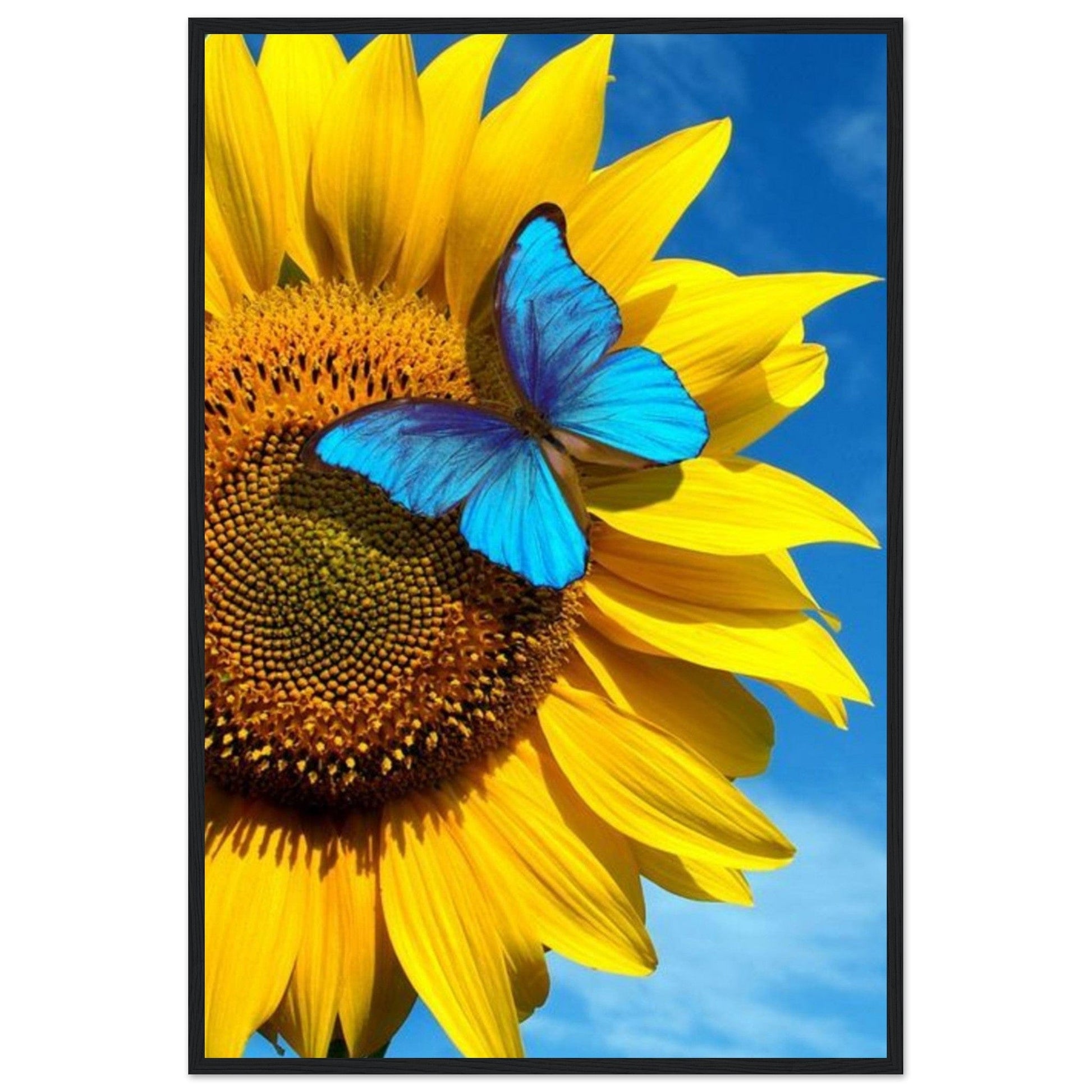 Tableau Tournesol Monet - Canvanation