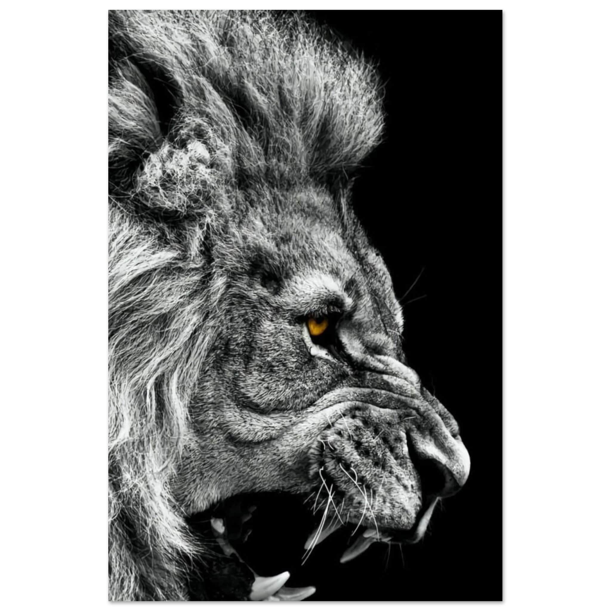 Canvanation Print Material 30x45 cm / 12x18″ Poster Lion Noir Et Blanc Rugissement