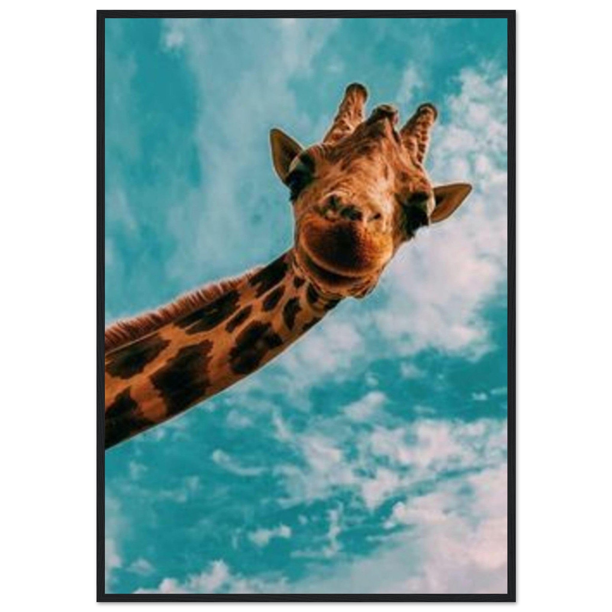 Toile Girafe Coloré - Canvanation