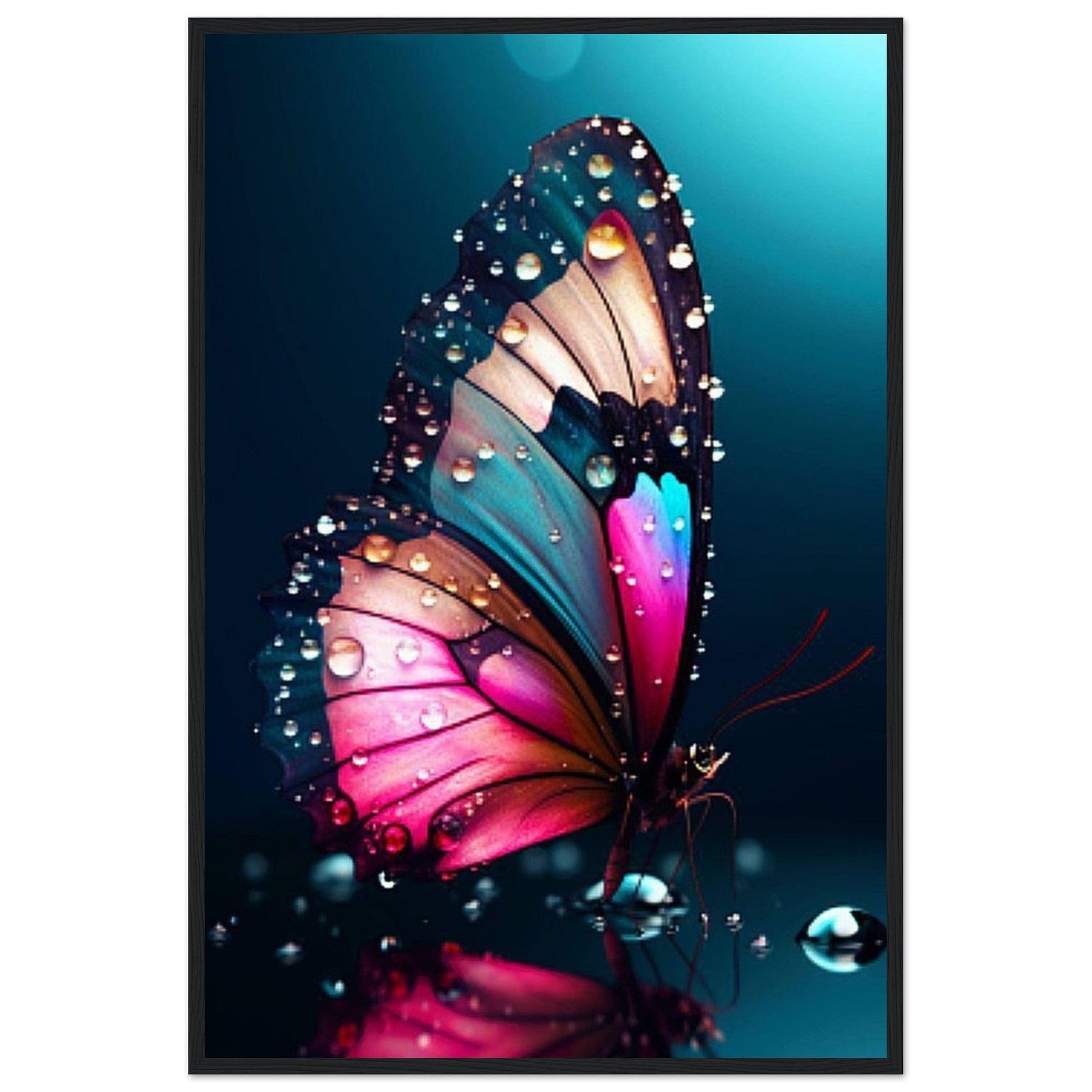 Tableau Papillon Pluie De Nuit - Canvanation