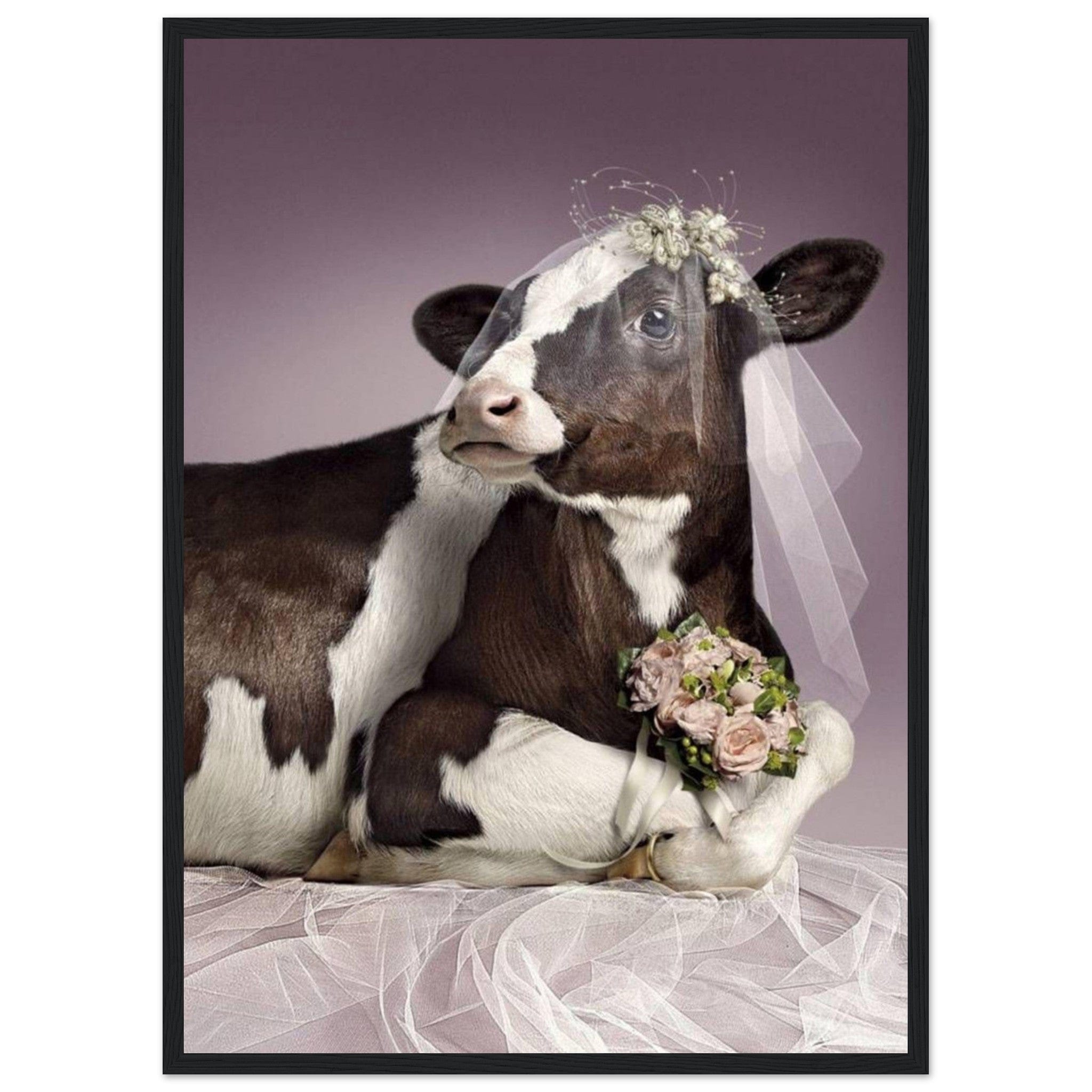 Canvanation Print Material 50x70 cm / 20x28″ Vache Tableau Drole