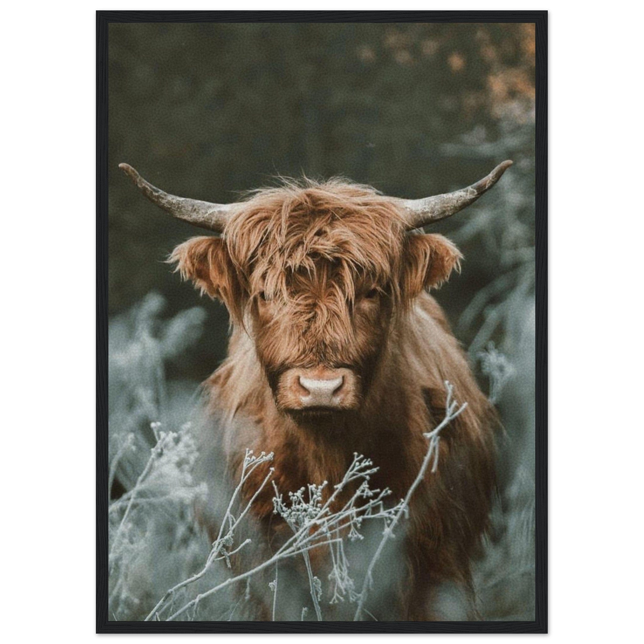 Canvanation Print Material 50x70 cm / 20x28″ Tableau Tete De Vache