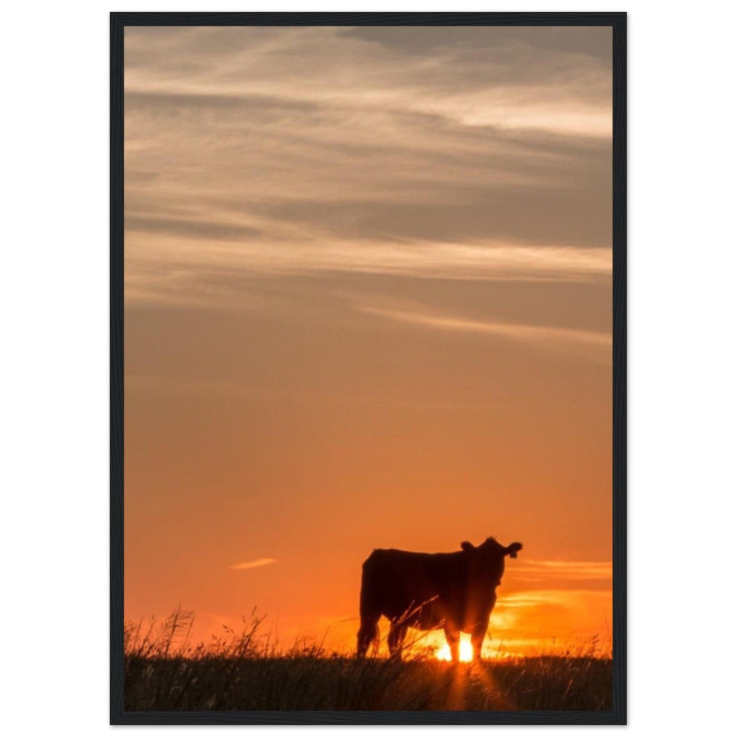 Tableau Vache Couché De Soleil - Canvanation